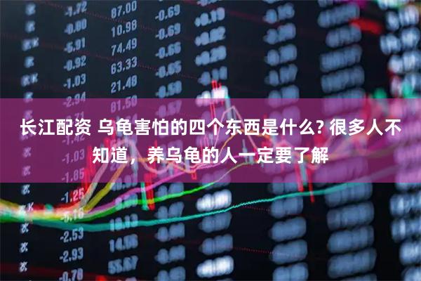 长江配资 乌龟害怕的四个东西是什么? 很多人不知道，养乌龟的人一定要了解