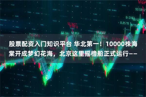 股票配资入门知识平台 华北第一！10000株海棠开成梦幻花海，北京这里摇橹船正式运行——