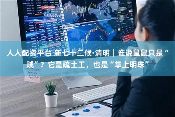 人人配资平台 新七十二候·清明｜谁说鼠鼠只是“贼”？它是疏土工，也是“掌上明珠”