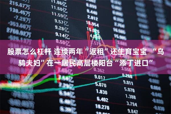 股票怎么杠杆 连续两年“返租”还生育宝宝  “乌鸫夫妇”在一居民高层楼阳台“添丁进口”