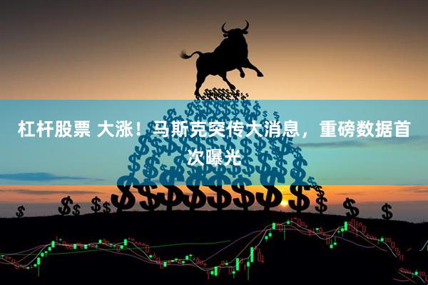 杠杆股票 大涨！马斯克突传大消息，重磅数据首次曝光