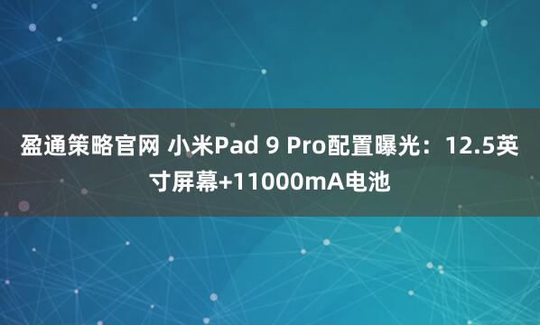 盈通策略官网 小米Pad 9 Pro配置曝光：12.5英寸屏幕+11000mA电池